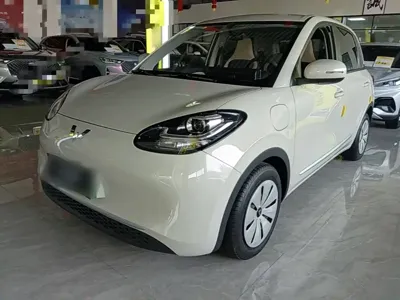 Wuling Bingo