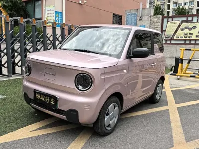 Galaxy Panda