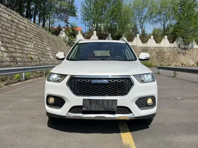Haval H2