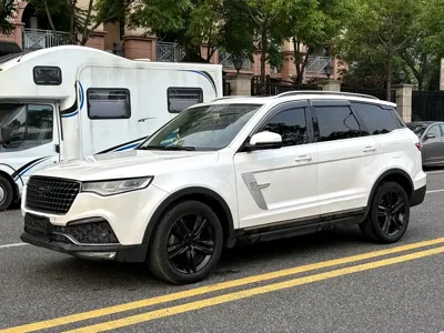 Zotye Zotye T800