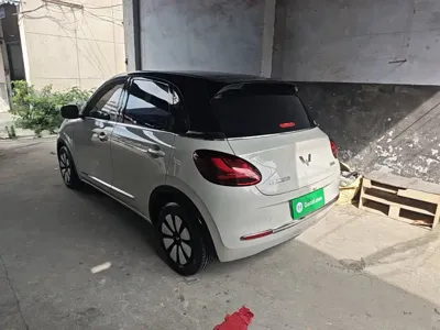 Wuling Bingo
