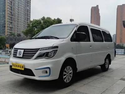 Fengxing Lingzhi New Energy