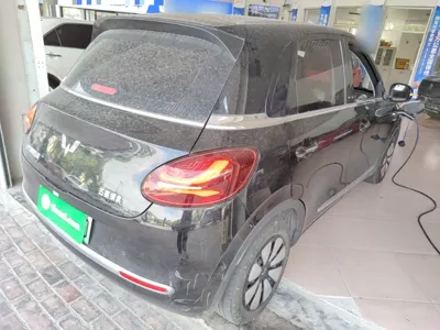 Wuling Bingo