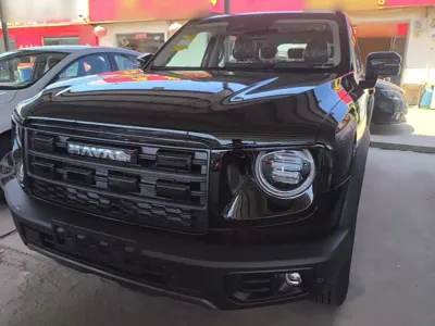 Haval Big Dog