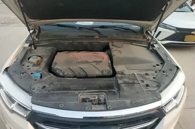 Zotye T600