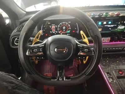 GAC Motor Shadow Leopard
