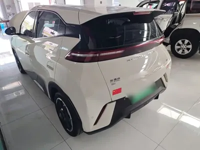 BYD Seagull