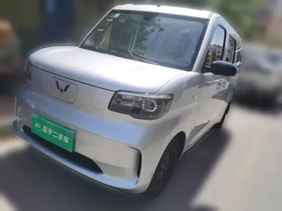 Wuling Zhiguang New Energy