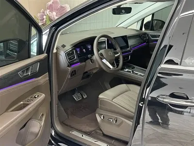Volkswagen Viloran