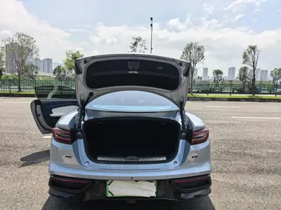 NETA Neta GT