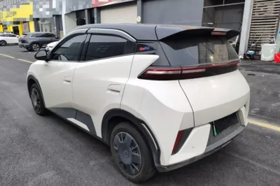 BYD Seagull