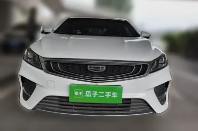 Geely Auto Binray