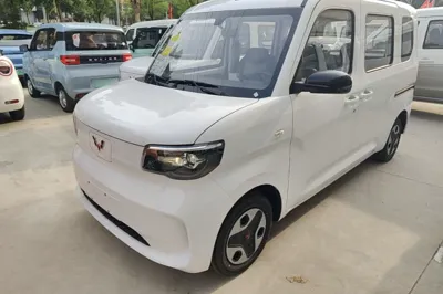 Wuling Zhiguang New Energy