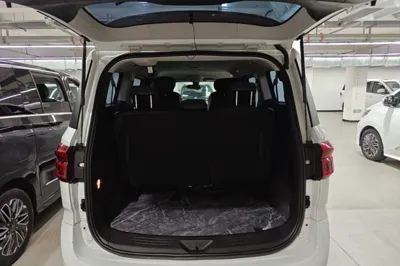 SAIC MAXUS G20