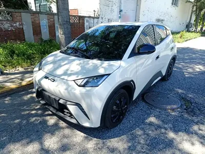 BYD Seagull