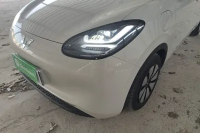 Wuling Bingo