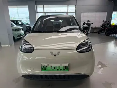 Wuling Bingo