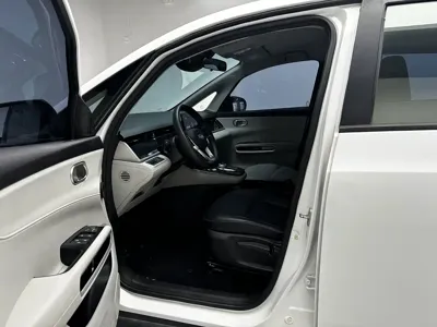 BYD D1