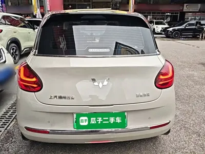 Wuling Bingo