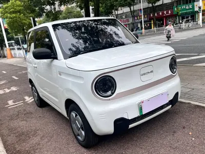 Galaxy Panda
