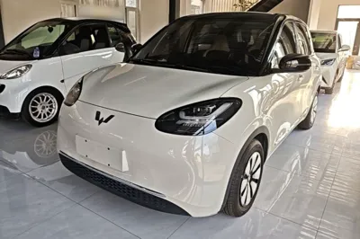 Wuling Bingo