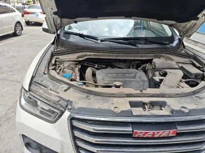 Haval H2s