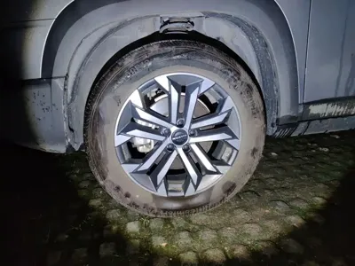 Haval Big Dog
