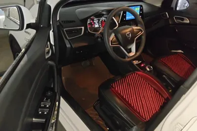 Baojun 310