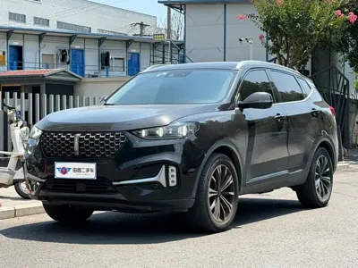 WEY Wey VV6