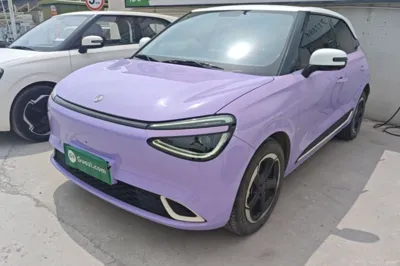 Dongfeng NAMMI 01