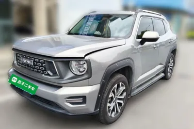 Haval H Dog