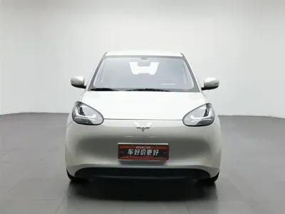 Wuling Bingo