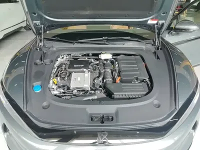 BYD 汉L