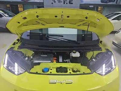 BYD Seagull