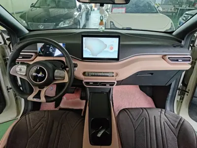 BYD Seagull