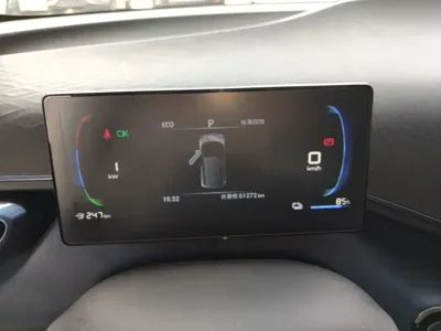 BYD Seagull