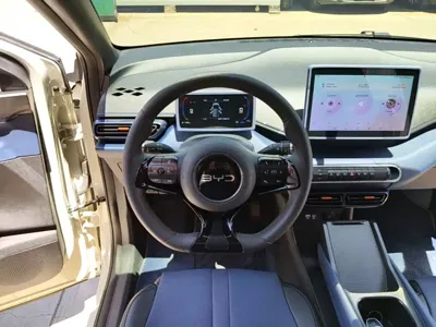 BYD Seagull