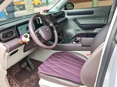 Leapmotor Leapmotor C11