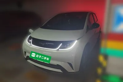 BYD Dolphin
