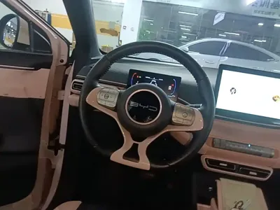 BYD Seagull