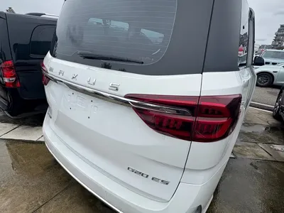 Maxus G20