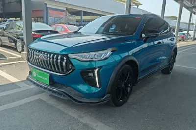 Haval LHERY