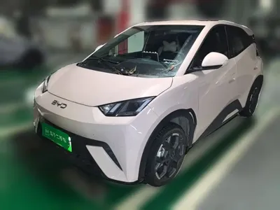 BYD Seagull