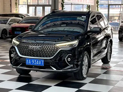 Haval M6