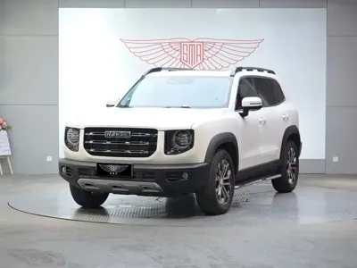 Haval Big Dog