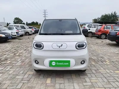 Wuling MINIEV