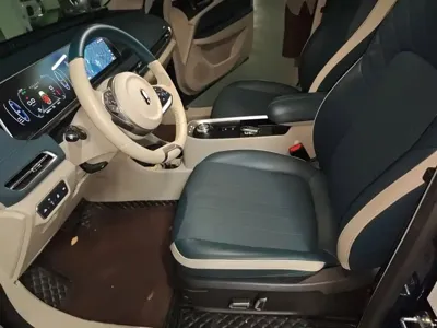 ORA Ora Good Cat