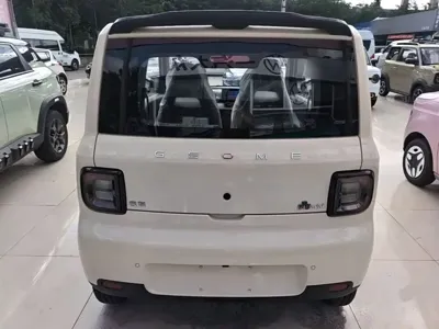 Galaxy Panda