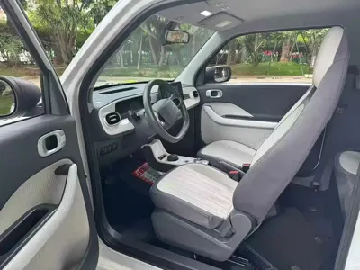Galaxy Panda