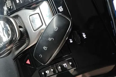 Denza D9